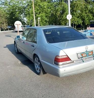 new beetle: Mercedes-Benz S-Class: 1993 г., 3.2 л, Автомат, Бензин, Седан — 3