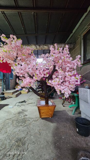 Декоративные цветы: Сакура искусственное дерево высота 2 м ширина 2 м цена от 1000 сом at lalafo.kg — 9 Декоративные цветы: Сакура искусственное дерево высота 2 м ширина 2 м цена от 1000 сом — 9