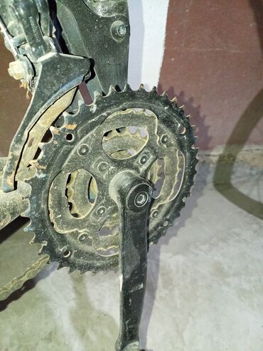 İdman velosipedləri: Salam velosiped göründüyü kimidir hal hazırda sürülür. problemləri — 4