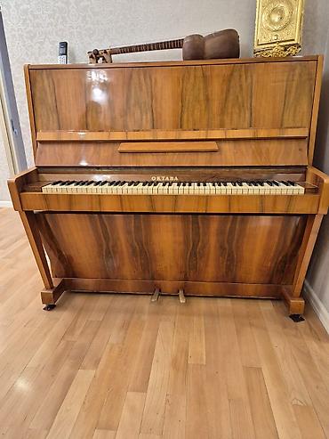 Спорт и хобби: Upright pianino – Oktava markası - Korpus: təbii taxta/kaplama — 4