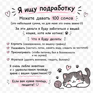 отель бурана: Мне 14-я живу в Оше говорите точные адреса отвечаю на все 100%! — 1