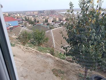 evlee: Kirayə Ev 1 Otaqli Boş Boşuna Narahat Eləmə 1_Otaq 1 kukna Ev kirayə — 4
