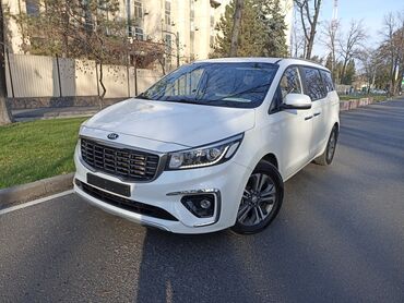 Kia: Kia Carnival: 2018 г., 2.2 л, Автомат, Дизель, Минивэн