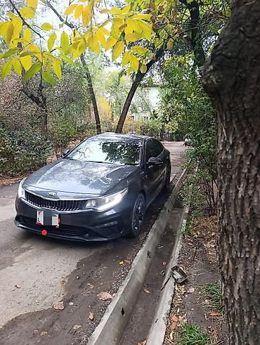 Kia: Kia K5: 2016 г., 2 л, Автомат, Газ, Седан — 2