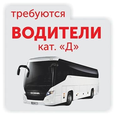 водитель категория с: Требуются водители автобуса Категория Д. Проживание - бесплатно