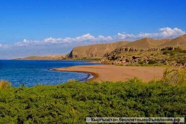 кочкор ата участок: 300 соток, Бизнес үчүн, Кызыл китеп, Сатып алуу-сатуу келишими, Башкы ишеним кат