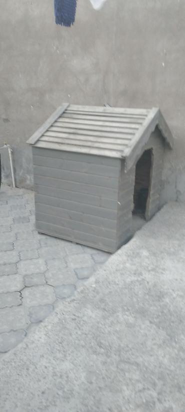 ucuz ev iti: Taxta it evi - Material: bərk taxta panellər, üfüqi lamellər - Rəng — 1
