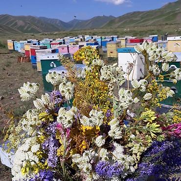 Другие с/х животные: Ульи для пчёл Преимущества ППУ ульев Пенополиуретан (ППУ) -Это — 13