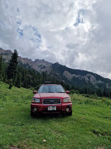 дополнительное освещение на авто: Subaru Forester: 2002 г., 2 л, Автоматические, Бензин, Внедорожник