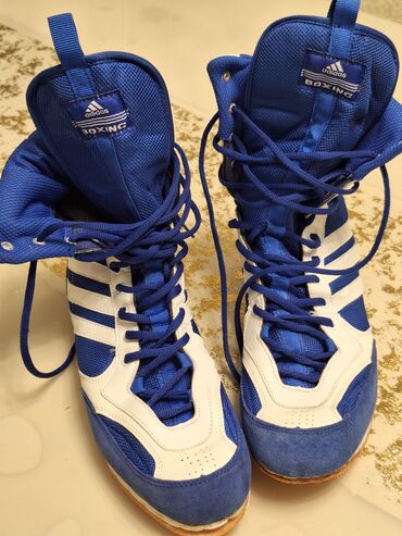 Botinkalar: Məhsul: Adidas boks ayaqqabıları - Rəng: Kobalt mavi/ağ, adidas