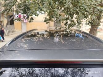 Audi: Audi Q7: 3 l | 2010 il Ofrouder/SUV — 5