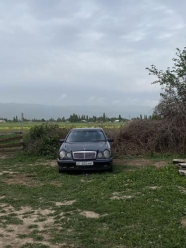 vw sharan: Mercedes-Benz E-Class: 1996 г., 2.9 л, Механика — 4