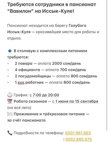 токмок кун чыгыш: Талап кылынат Ашпозчу 1-2-жылдык тажрыйба