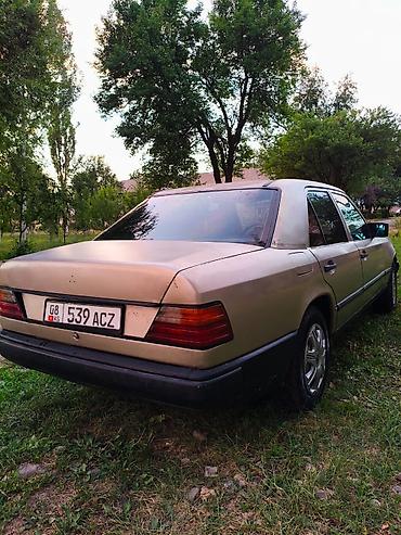 kirgiz auto: Mercedes-Benz W124: 1988 г., Седан — 4
