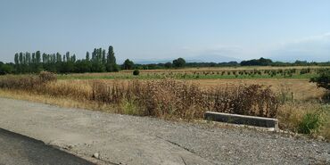 Torpaq sahələrinin satışı: 116 sot, Kənd təsərrüfatı, Barter mümkündür, Kupça (Çıxarış) -da lalafo.az — 8 Torpaq sahələrinin satışı: 116 sot, Kənd təsərrüfatı, Barter mümkündür, Kupça (Çıxarış) — 8