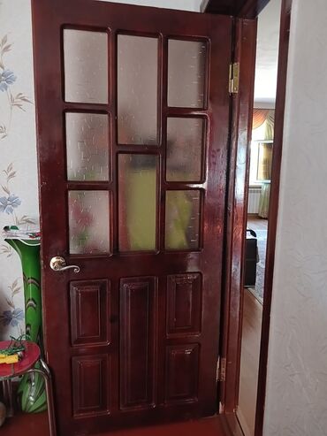 приют собак в баку: Qapi Masazir