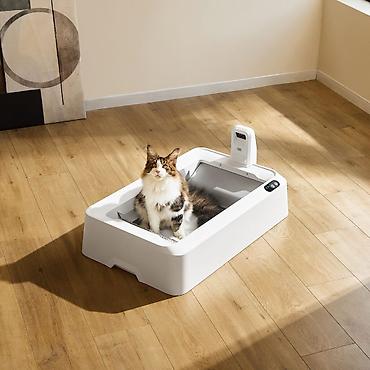 pişik şəkilləri çəkmək: 🐱 Petkit Purobot Crystal Duo With Camera (P9905) – Ağıllı Özünü — 7