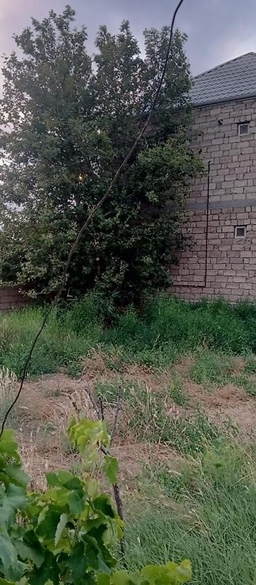 Həyət evləri və villaların satışı: Kürdəxanı qəs. 5 otaqlı, 200 kv. m, Orta təmir — 6