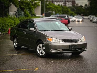 тайота дуйет: Toyota Camry: 2003 г., 2.4 л, Автомат, Бензин, Седан