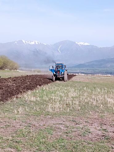 Тракторы МТЗ (Беларус): Трактор Беларус МТЗ 82.1 синего цвета,4x4 отличная передний привод — 10