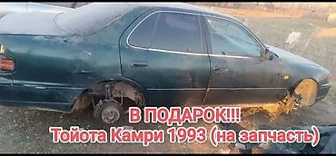 Toyota: Toyota Camry: 1999 г., 2.2 л, Автомат, Бензин, Седан — 12