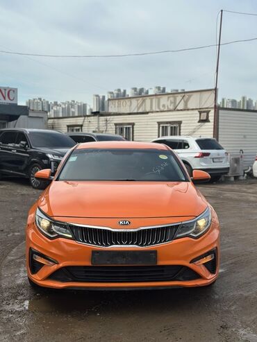 Птицы: Автомобиль Kia К5 акула морда оранжевого цвета без оформления. Этот