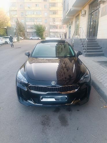 стингер 3.3 турбо: Kia Stinger: 2017 г., 2.2 л, Автомат, Дизель, Седан — 7