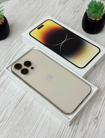 купить iphone: IPhone 14 Pro Max, 256 GB, Matte Gold, Zəmanət, Barmaq izi, Face ID