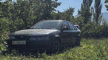 на акорд сл7: Honda Accord: 1994 г., 2 л, Механика, Бензин, Седан — 7