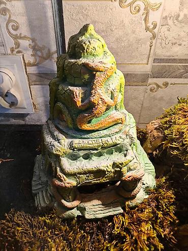 Зоотовары: 🌿 Украшения и декорации для аквариумов и террариумов 🌿 Продаю — 10