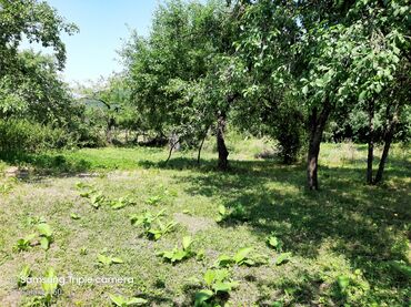 Torpaq sahələrinin satışı: 10 sot, Tikinti, Mülkiyyətçi, Kupça (Çıxarış) -da lalafo.az — 18 Torpaq sahələrinin satışı: 10 sot, Tikinti, Mülkiyyətçi, Kupça (Çıxarış) — 18