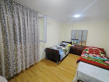 quba kirayə ev: 35 kv. m, 2 otaqlı, Telefon, Su, Kanalizasiya — 3