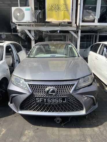 тайота виш запчас: Авторазбор Toyota/Lexus — оригинальные запчасти Ассортимент по
