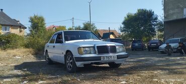 мерс 124 куплю: Mercedes-Benz W124: 1989 г., 3 л, Механика, Дизель, Седан