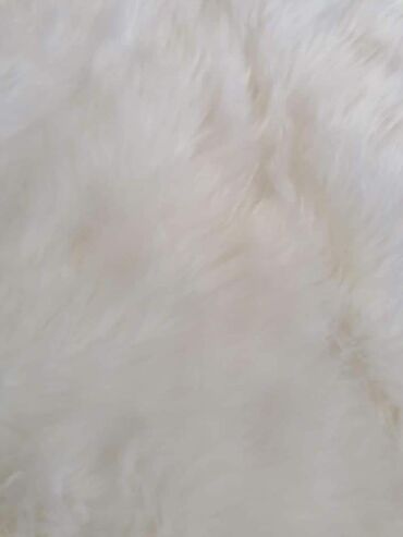 Tepisi i prostirke: Tepih, Pravougaoni — 8