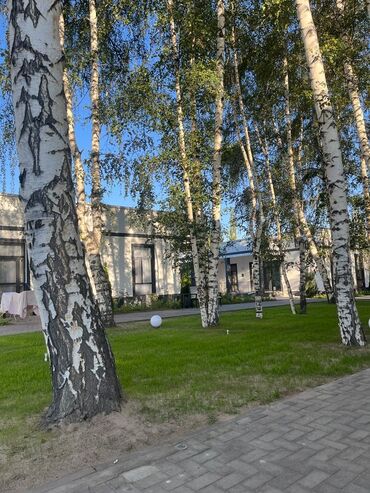 Иссык-Куль 2025: Коттедж, котедж ЦО Атлантис, Сары-Ой, Детская площадка, Закрытый пляж, Охраняемая территория — 4