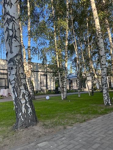 Иссык-Куль 2026: Коттедж, котедж ЦО Атлантис, Сары-Ой, Баскетбольная площадка, Бассейн, Детская площадка — 19