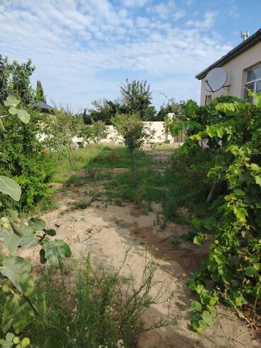 Bağ evlərinin satışı: Bakı, Novxanı, 120 kv. m, 3 otaqlı, Hovuzsuz, Qaz, İşıq, Su — 10
