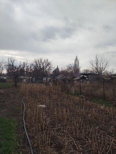 Продажа коттеджей и домов: Продается дом в г. Кара балта 17,5 соток. Мы посадили осенью новый — 24