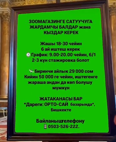 Другие специальности в продажах: Тез арада зоомагазинге сатуучуга жардамчы балдар жана кыздар керек