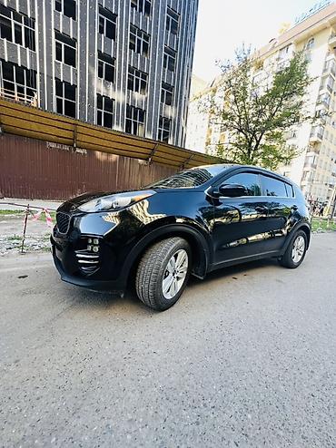 spark 2016: Kia Sportage: 2018 г., 2.4 л, Автомат, Бензин, Кроссовер — 2