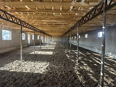Аренда коммерческой недвижимости: Коровник/скотный двор с помещениями для содержания животных - — 6