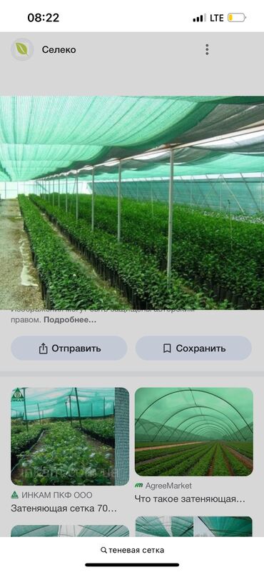 сетка рабитца: Теневая сетка, 1х2м 80сом доставка есть на любой город и область