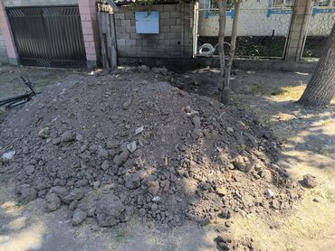 в связи с переездом отдам попугая жако в добрые руки: Заберите даром землю. Находится в с. Беловодское.Самовывоз