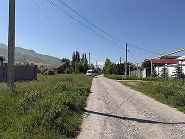 участка кок жар: 16 соток, Красная книга, Договор купли-продажи — 4