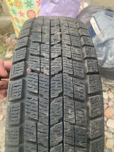 зимний баллон 15: Шины 165 / 55 / R 14, Зима, Новый, Пара, Легковые, Англия, Dunlop