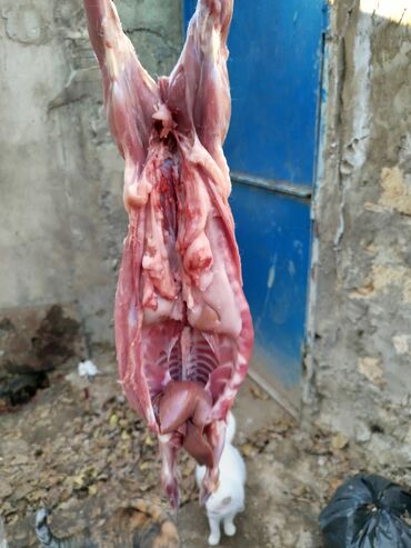 Ət: Salam temiz kaliforniya sortu🐇 dovsha eti isdeyen — 17