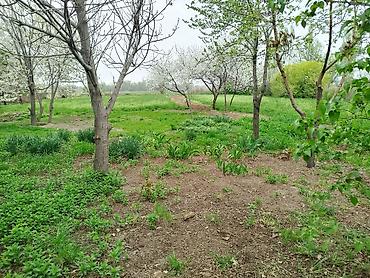 Продажа коттеджей и домов: Продается дом 4 комнаты в городе Кант с.Гагарина дом очень хорошо — 5