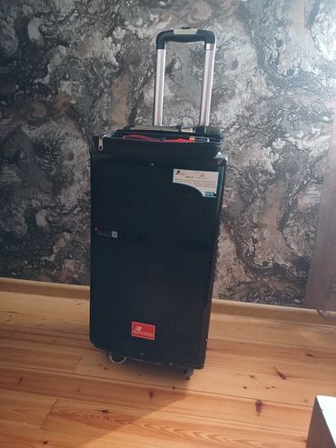 запчасти для динамиков: Musiqi karaoke kalonakası "Danms" 550w gucune malikdir ustunde 2eded