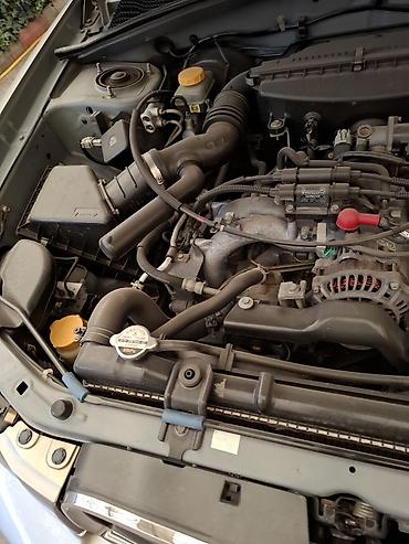 Subaru: Subaru Forester: 2004 г., Автомат, Бензин, Универсал — 5
